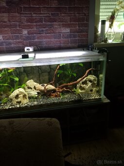 Akvárium - 3