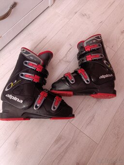 Lyžiarky Alpina - 3