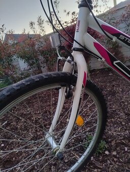 Dámsky bicykel CTM - 3