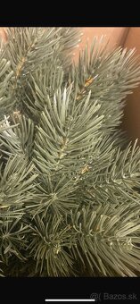 Vianočný stromček 180cm - 3
