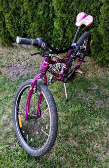 Dievčenský bicykel 24 - 3