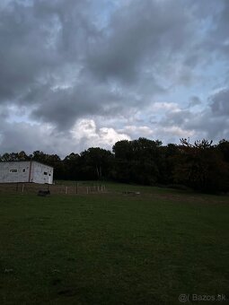 Ustajnenie v Lehote pod Vtáčnikom - 3