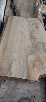 Predam Orechove Fosne (vysusene viac druhov ) - 3