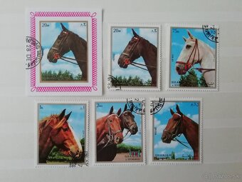 Fauna 2 - 3
