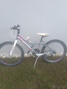 Detský bicykel Capriolo - 3