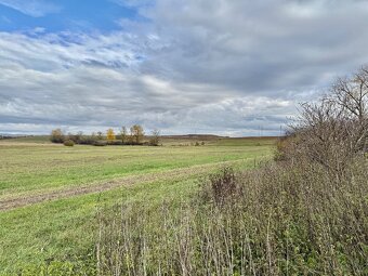 Predaj pozemok katastrálne územie Gemer 8689 m2 - 3