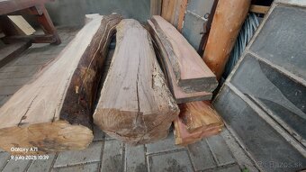 Fosne orechove slivove - 3