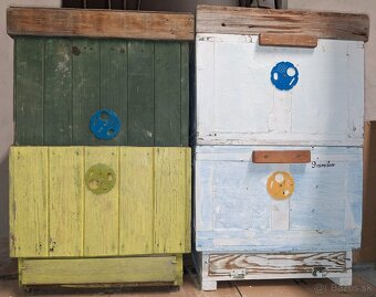 Včely - ÚLE B10 - 3