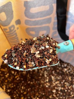 Rastliny do akvaria a strk - 3