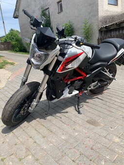 Benelli BN 251 - 3