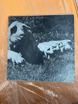 Pink Floyd vinylové platne - 3