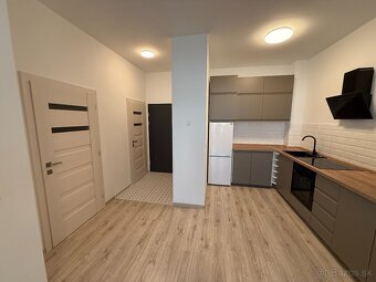 Exkluzívne v APEX reality prenájom 2i. s loggion, 53 m2 - 3