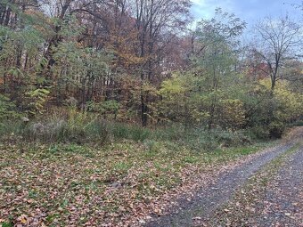 Pozemok v chatovej oblasti Vyšný Kazimír - 3