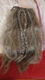 Brada a parochňa Viking na karneval - 3