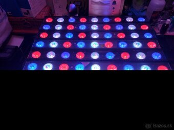 LED BAR ADJ MEGA TRI 60 - 3