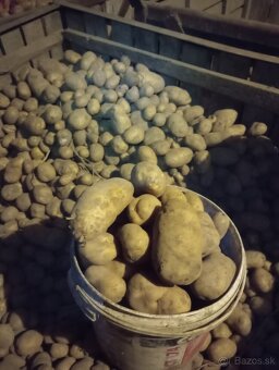 Predám  pšenicu, jačmeň s možným dovozom - 3