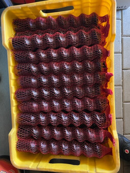 šnek D6-3 Blue Power - 3