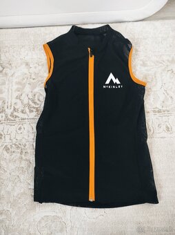 Predam chranic chrbtice na lyzovanie - 3