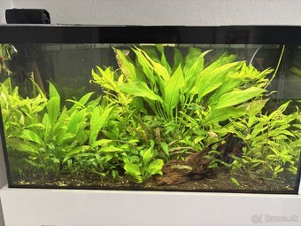 Akvárium s komodou komplet zariadené 150l - 3