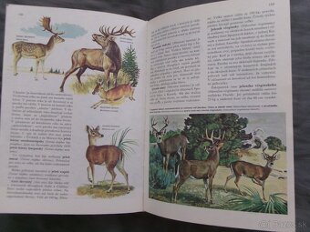 Svet živočišnej ríše. - 3