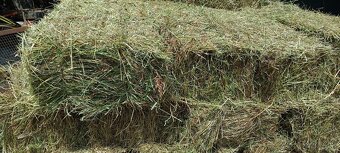 Predám malé balíky slamy  a sena - 3