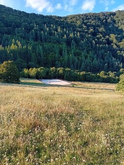 Ustajnenie - 3