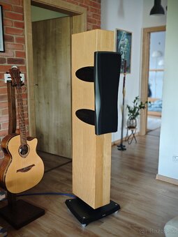 Dynaudio Confidence C2 - 3