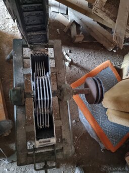 Kladivkovy srotovnik - 3