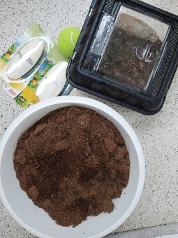 Slimák africký - 3