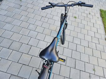 Relax bike - 3
