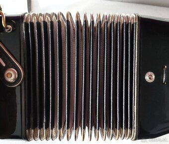 Predam akordeon Delicia Junior 72 bas. - 3