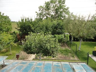 Predaj záhrady s chatkou - 3