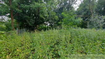 Záhrada pri lesíku na predaj Holíč - 3