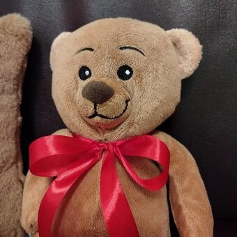 Krásny Macko s vankúšom - 3