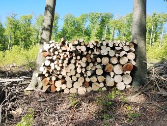 Predám rôzne dub,buk,hrab tvrde palivove drevo , na fotke bu - 3