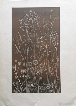 Edita Ambrušová - 3