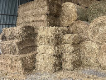 Predam seno male baliky - 3