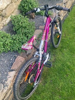 Scott Contessa Jr 24 - 3