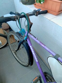 Pánsky, dámsky bicykel - 3