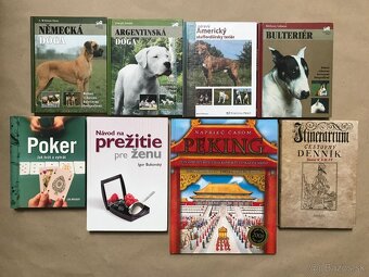 Dejiny umenia, Smolenice, Piešťany v zrkadle historických po - 3