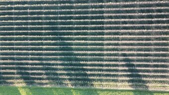 DJI Mavic Mini Fly Combo - 3