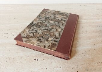 Časopisy Šťastný domov, svázaný ročník 1924, krásný stav - 3