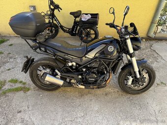 Predam Benelli Leoncino 500 - 3