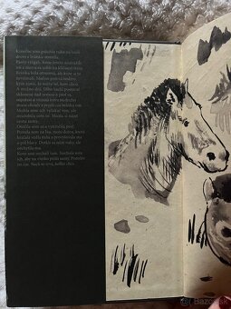 Kôň Przewalského - 3