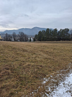 Predaj orná pôda Rajecká Lesná - 3