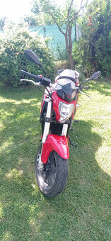 Benelli BN251 - 3
