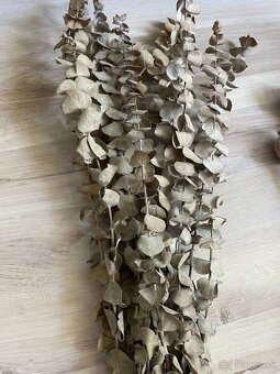 Sušené kvety - bavlna, mak, eukalyptus - 3