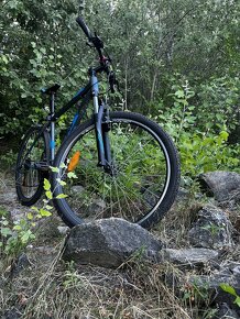 Horský bicykel CTM Rein 1.0, veľkosť L - 3