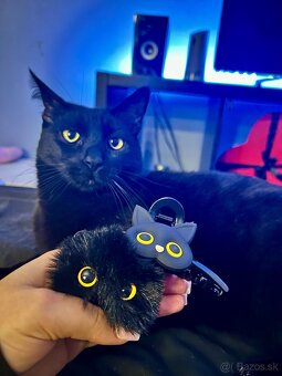 Kocúrik Batman:) - 3