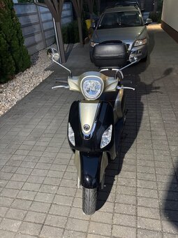 Sym fidlle 3 125 cm - 3